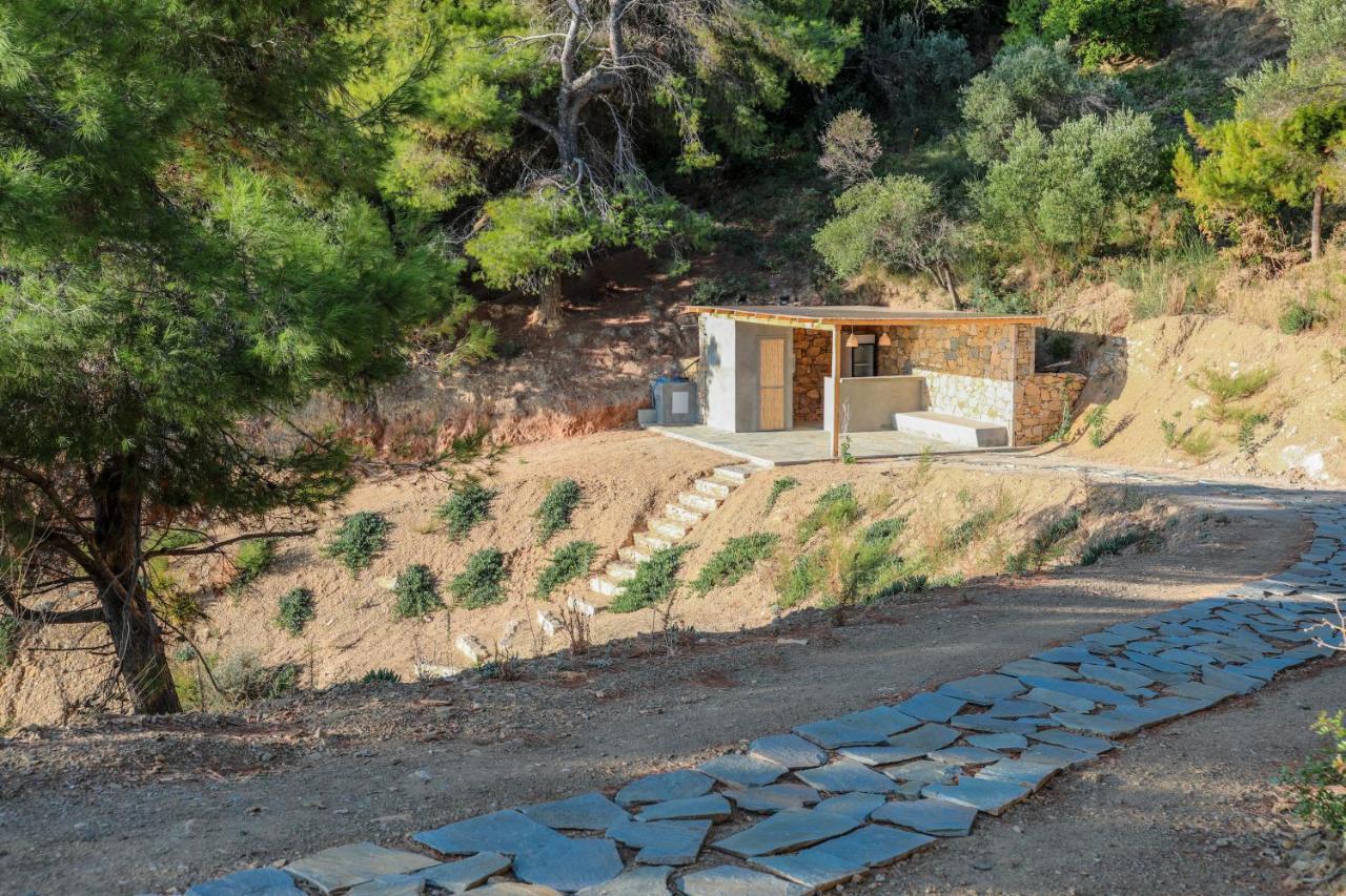 Thalasses Villas Skiathos Punta Ngoại thất bức ảnh