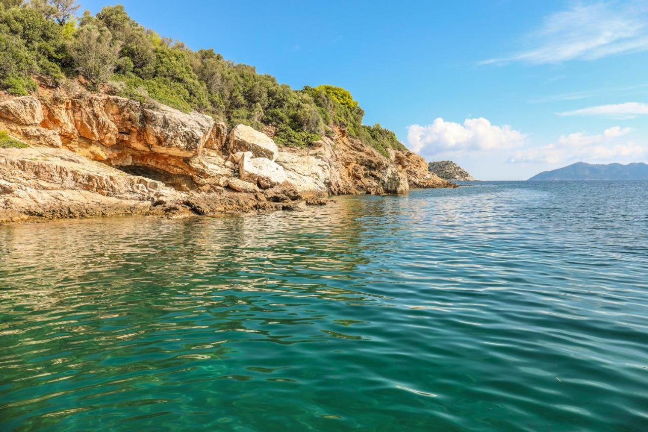 Thalasses Villas Skiathos Punta Ngoại thất bức ảnh