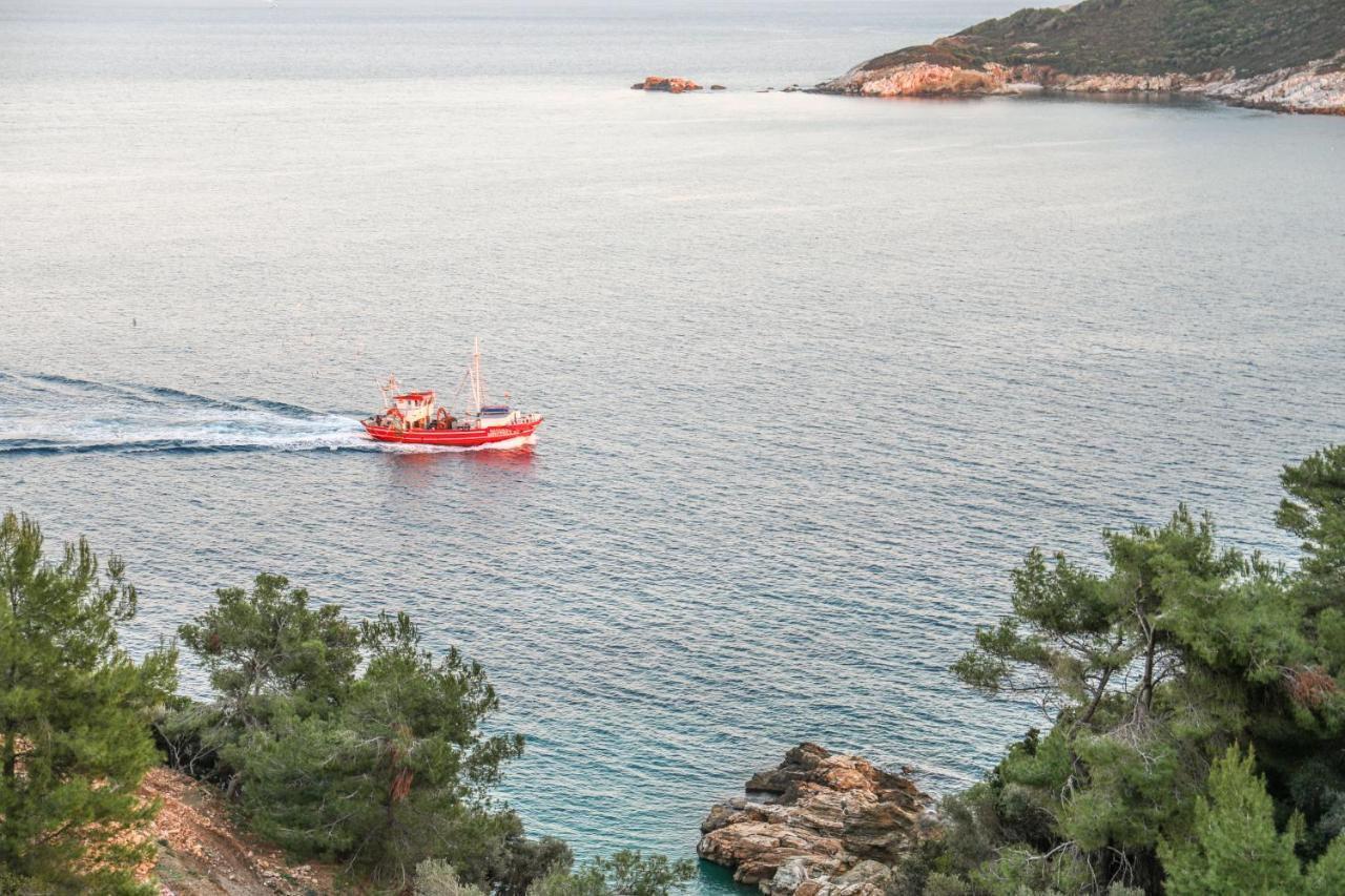 Thalasses Villas Skiathos Punta Ngoại thất bức ảnh